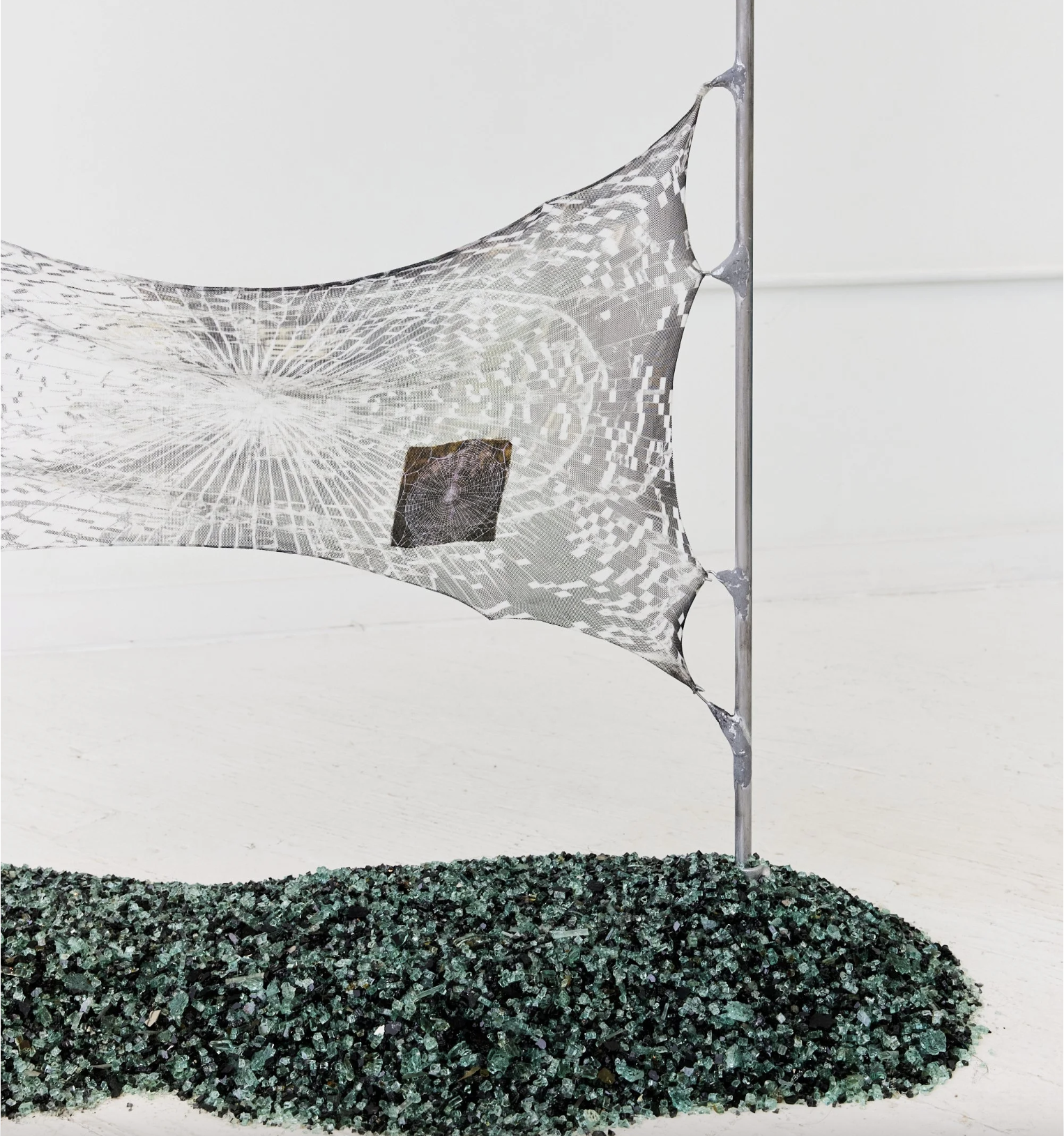 PENT UP — installation view